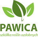 Szkółka Pawica