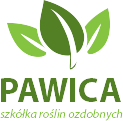 szkółka pawica logo